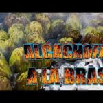 Receta de alcachofas a la barbacoa