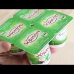 Receta de yogures sojasun