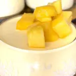 receta-de-mus-de-mango